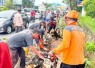 BPBD saat Evakuasi Pohon Tumbang di Km 10