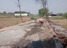 Pengerjaan proyek penanganan long segment ruas jalan Bendungan–Jenggrik.