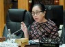 Wakil Ketua Komisi X DPR RI MY Esti Wijayanti