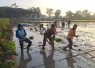 Tanam padi bersama warga desa binaan