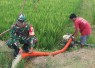 Bantu irigasi pertanian