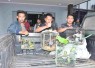 TNI AL gagalkan penyelunfupan satwa dilindungi