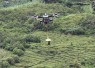 Drone Kargo DJI FlyCart 100 untuk Distribusi Logistik di Medan Ekstrem