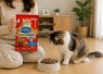 Dry Food Kucing yang Bagus untuk Kesehatan dan Nutrisi Anabul