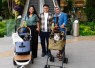 Grand Galaxy Park, cat-friendly mall