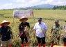 Panen raya padi Biosalin di Jepara