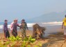 Peduli lingkungan sekitar Pantai Blado Trenggalek