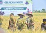 Gerakan Panen Raya dan Percepatan Tanam Padi yang digelar di lahan persawahan Desa Gading, Kecamatan Balerejo, Kabupaten Madiun, Jumat (8/5/2026)