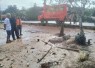 Kepala BPBD Lingga Tinjau Lokasi Penangkapan Buaya 3,6 Meter di Panggak Laut