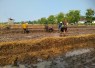 Dari Sawah untuk Ketahanan Pangan, Babinsa dan Gapoktan Krandegan Bahu Membahu Olah Lahan Padi