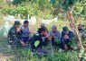 Babinsa Koramil Mapurujaya Bersama Warga Bersihkan TPU Kampung Hiripau