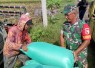 Kebersamaan Babinsa dan Petani Hadirkan Semangat Menuju Swasembada Pangan