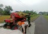 Tangan-Tangan yang Menjaga Ketahanan Pangan, Babinsa Turun Langsung Dampingi Panen Petani Sumberejo