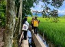 Peninjauan lahan sawah terdampak di Kabupaten Nagan Raya, Aceh. dok : Satgas PRR/kementerian PU