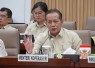 Menteri Koperasi (Menkop) Ferry Juliantono