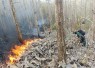 Cegah Kebakaran Meluas, Babinsa dan Perhutani Padamkan Api di Sekitar Hutan Jati Pucangan