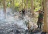 Babinsa dan Warga Gerak Cepat Padamkan Kebakaran Hutan di Pakisrejo