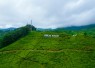 Mengurai Kemacetan Akhir Pekan: Mengapa Rancamaya Menjadi Alternatif Rasional Puncak bagi Warga Jabodetabek