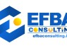 Solusi Strategis Konsultan Bisnis Efba Consulting dalam Menaikkan Angka Penjualan Di 2026