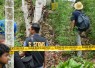 Tim gabungan Bea Cukai Lhokseumawe bersama Polres Lhokseumawe dan BNNK Lhokseumawe saat melakukan pemusnahan ladang ganja di Desa Teupin Rusep, Kecamatan Sawang, Kabupaten Aceh Utara, Kamis (13/8/2026).