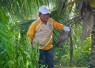 Gubernur Ansar saat Pimpin Gotong Royong di Pulau Penyengat